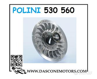 CORRETTORE DI COPPIA POLINI TMAX 530