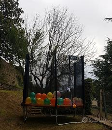 trampolino elastico