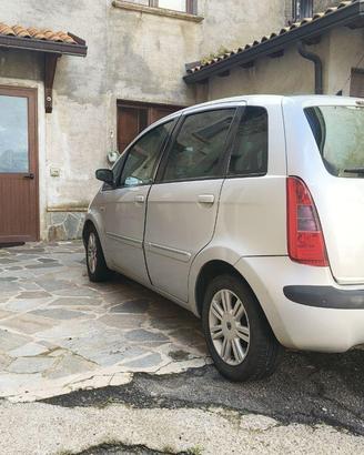 Lancia musa