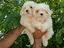 Immagine 4