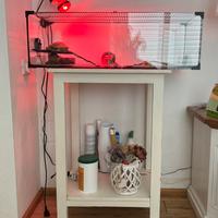 Acquario per tartarughe e piedistallo