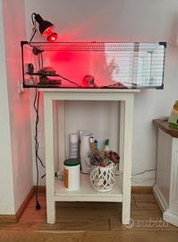 Acquario per tartarughe e piedistallo