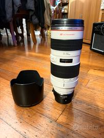 Canon 70-200 f2.8 L