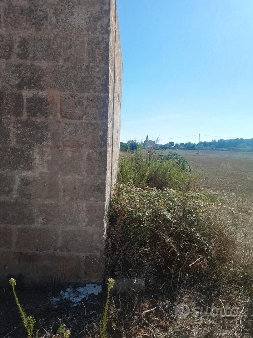 Terreno agricolo 200metri dal paese di Uggiano Mon - Vista 2