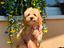 Immagine 7