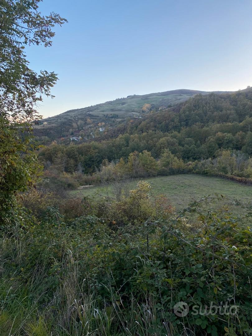 Terreno a pochi chilometri da Potenza - Vista 2