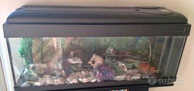 acquario 100l