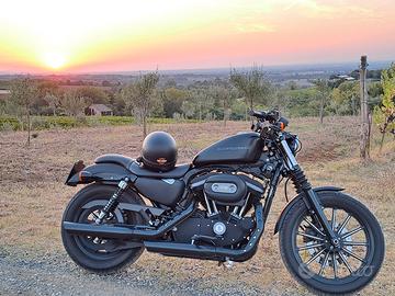 Harley-Davidson Sportster 883 - 2009