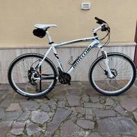 Bici Bottecchia fx 530