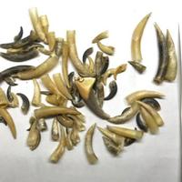 Accessori particolari per realizzare ciondoli