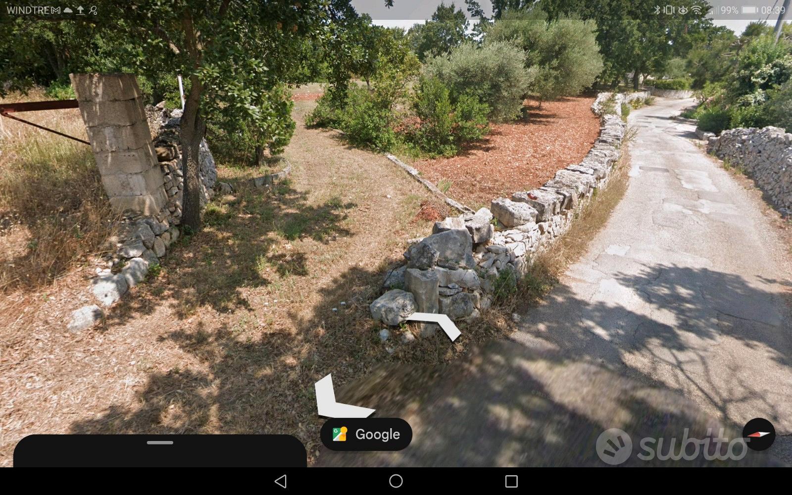 Terreno agricolo con ulivi ostuni - Vista 5