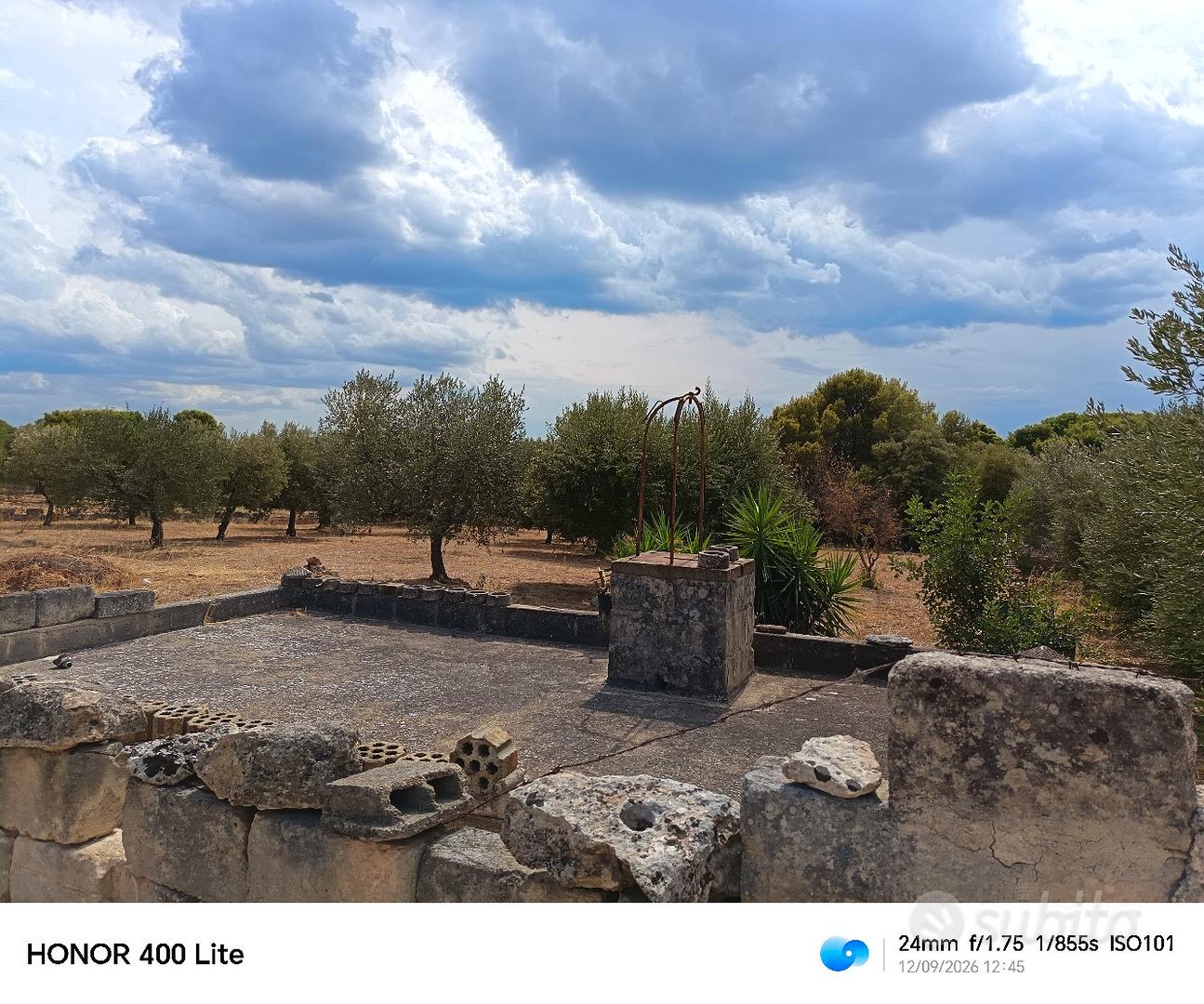 terreno con 25 alberi di ulivo - Vista 5