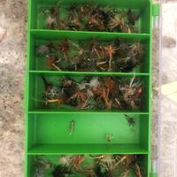 Ami mosca + utensile