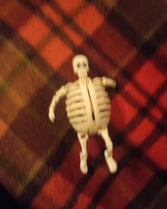 Egg Monster/Mostruovo scheletro 