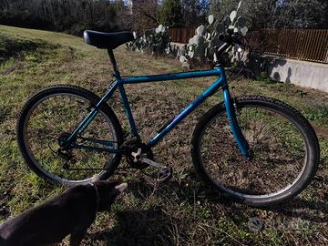 Bicicletta Bianchi ruota 26.