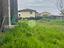 Immagine 15