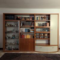 Parete Attrezzata/Libreria con Vetrina illuminata