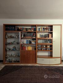 Parete Attrezzata/Libreria con Vetrina illuminata