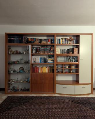 Parete Attrezzata/Libreria con Vetrina illuminata