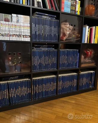 Collezione 250 TEX espresso