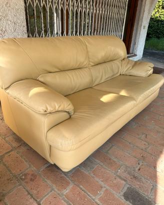Divani in pelle