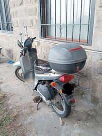 Honda sh50
