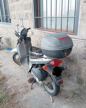 Honda sh50