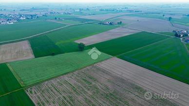 TER. AGRICOLO A TORRICELLA DEL PIZZO