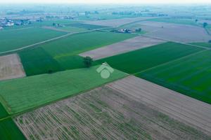 TER. AGRICOLO A TORRICELLA DEL PIZZO