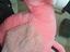 Immagine 1