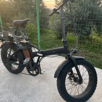 Fat Bike 250w