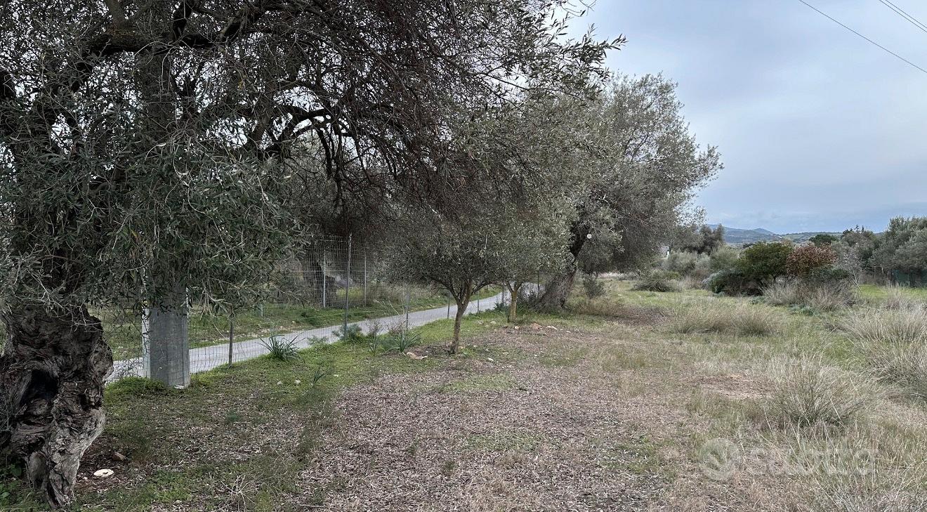 Terreno Is Concias (Sant'Isidoro) - Vista 2