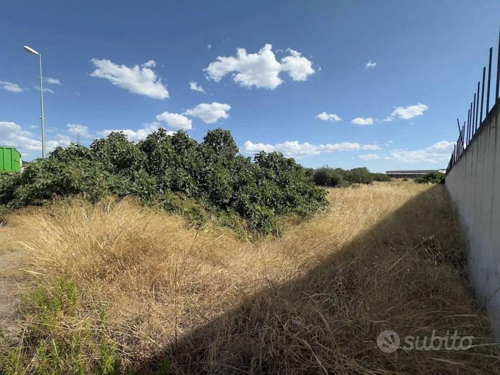 Immobile in asta di 13458 m² a Andria - Vista 4