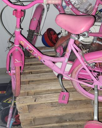 Bicicletta
