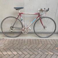 bici corsa Giant