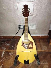 Mandolino Alfredo Privetera