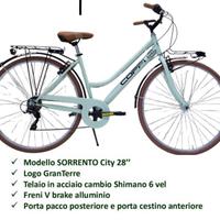 Bici normale