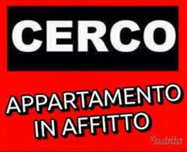 Cercasi appartamento Pesaro