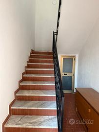 Trilocale per Trasfertisti