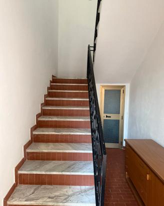 Trilocale per Trasfertisti