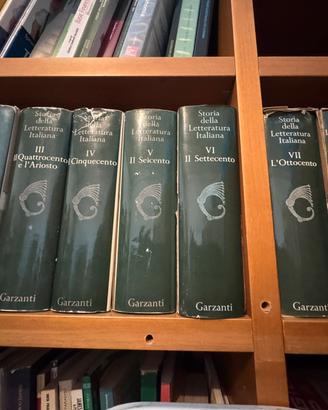 Libri letteratura