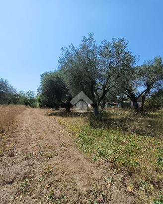 TER. AGRICOLO A CASTEL SANT'ELIA