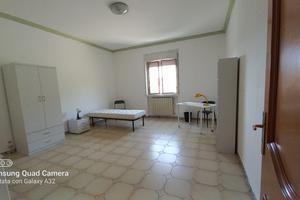 Ampia camera per studentesse vicino UniKore Enna