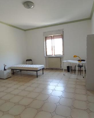 Ampia camera per studentesse vicino UniKore Enna