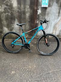 Bottecchia mountain bike