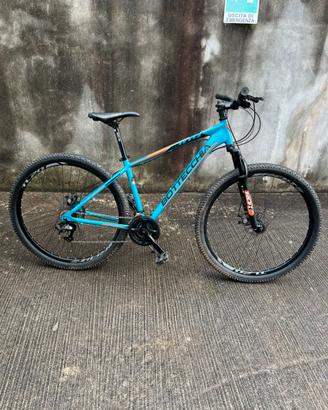Bottecchia mountain bike