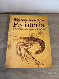Il grande libro della preistoria (216 pagine)