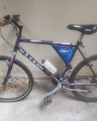 bicicletta 