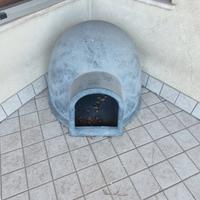 cuccia igloo x cani di taglia grande