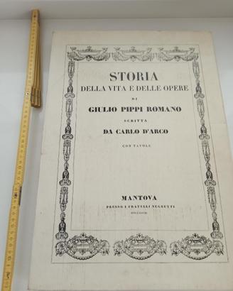 Storia della vita e delle opere di Giulio P Romano